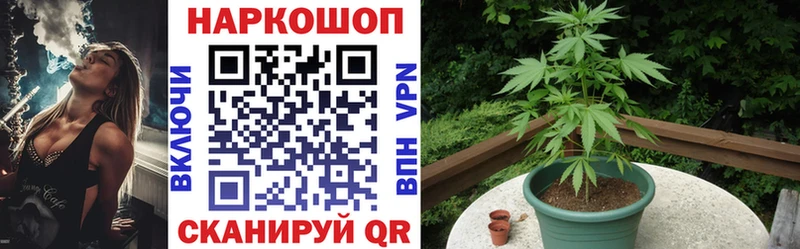 Наркотические вещества Сальск Кокаин  Героин  ОМГ ОМГ ССЫЛКА  ГАШИШ  Меф  Амфетамин  СОЛЬ 