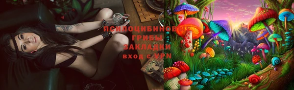 дмт Алзамай