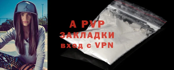 мяу мяу мука Абаза