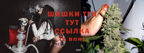 ГАЛЛЮЦИНОГЕННЫЕ ГРИБЫ Абдулино